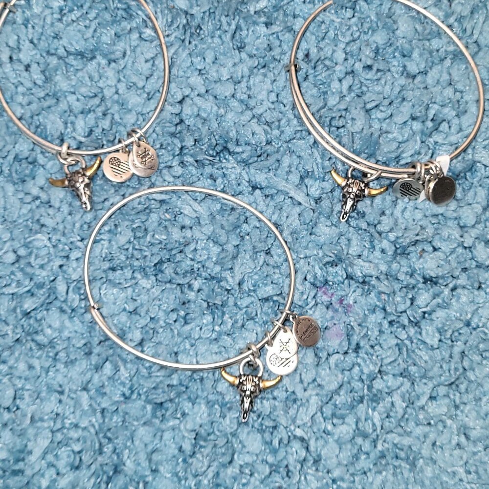 3 Bracelets - Alex And Ani Spirited Skull Charm Bangle Rafaelian Silver Finish